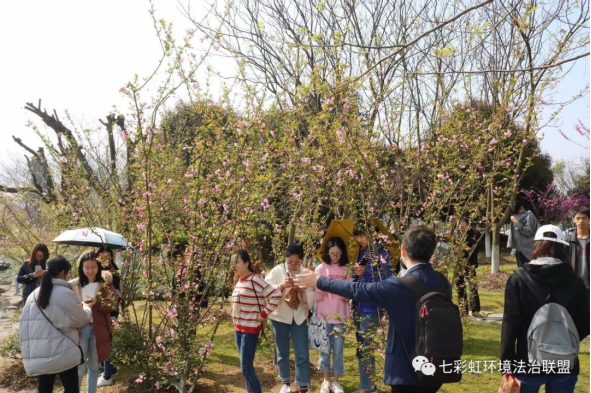 微信截图_20180416003300.png